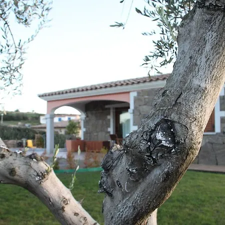 Astore Tatil Evi